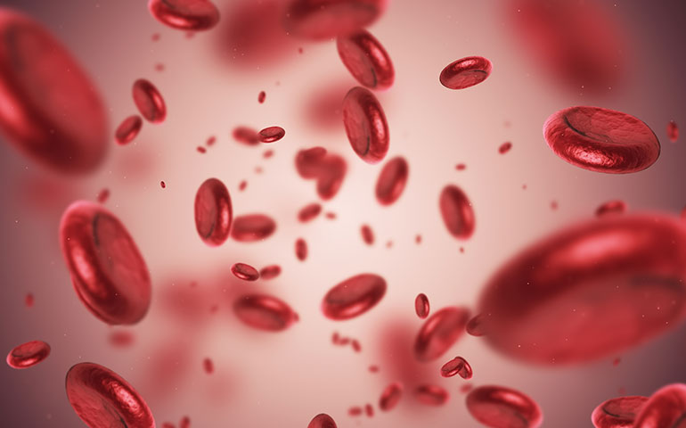 تشخیص کم خونی فقر آهن در آزمایش خون (2)